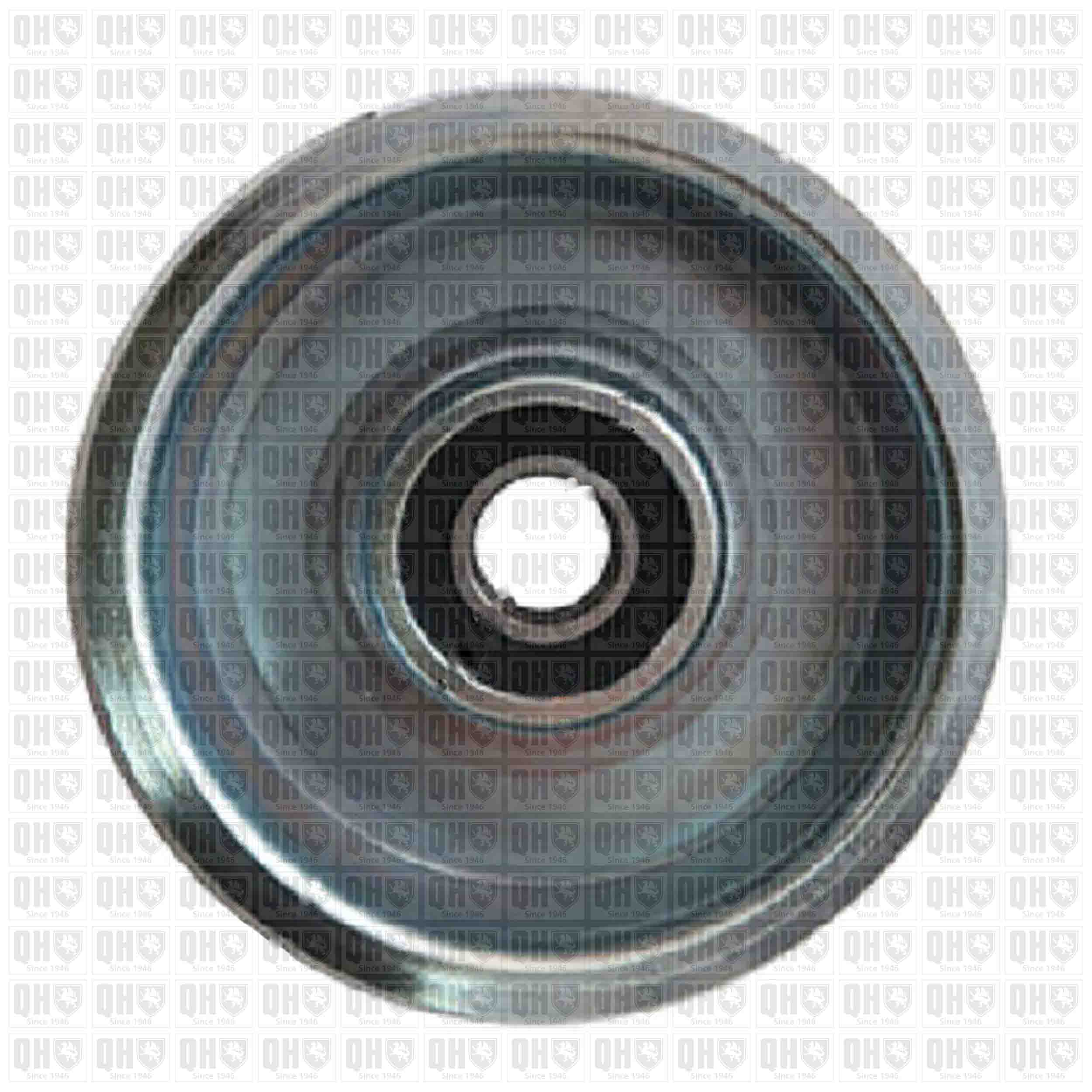 Galet tendeur de courroie d'accessoire QUINTON HAZELL QTA1485